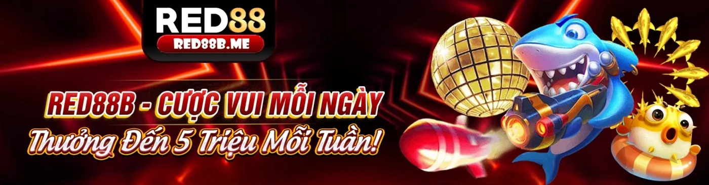 Hình ảnh môi trường giải trí cân bằng và an toàn